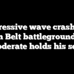 Progressive wave crashes in Sun Belt battleground as moderate holds his seat