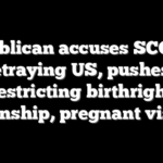 Republican accuses SCOTUS of betraying US, pushes bill restricting birthright citizenship, pregnant visitors