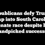 Republicans defy Trump, jump into South Carolina Senate race despite his handpicked successor