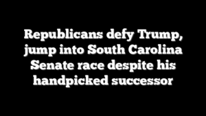 Republicans defy Trump, jump into South Carolina Senate race despite his handpicked successor