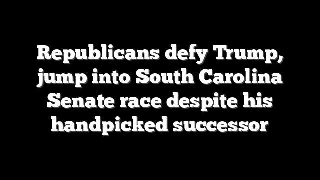 Republicans defy Trump, jump into South Carolina Senate race despite his handpicked successor