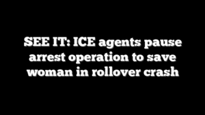 SEE IT: ICE agents pause arrest operation to save woman in rollover crash