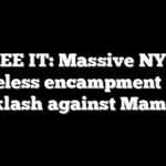 SEE IT: Massive NYC homeless encampment fuels backlash against Mamdani