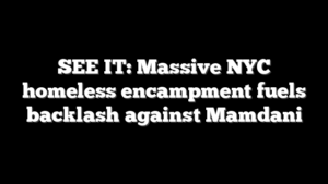 SEE IT: Massive NYC homeless encampment fuels backlash against Mamdani