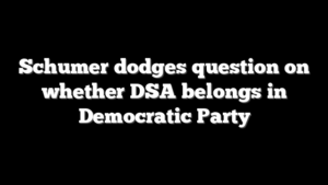 Schumer dodges question on whether DSA belongs in Democratic Party