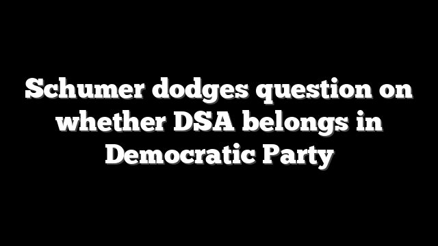 Schumer dodges question on whether DSA belongs in Democratic Party