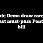Senate Dems draw rare line against must-pass Pentagon bill