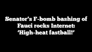 Senator’s F-bomb bashing of Fauci rocks Internet: ‘High-heat fastball!’