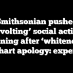 Smithsonian pushed ‘revolting’ social action training after ‘whiteness’ chart apology: expert