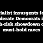 Socialist insurgents force moderate Democrats into high-risk showdown over must-hold races