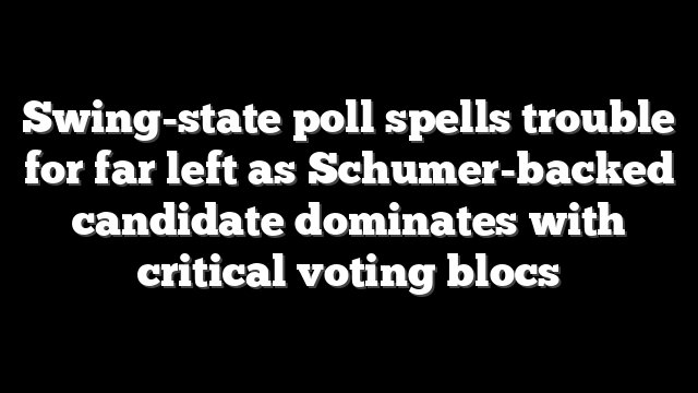 Swing-state poll spells trouble for far left as Schumer-backed candidate dominates with critical voting blocs
