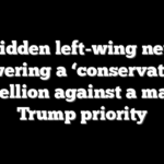 The hidden left-wing network powering a ‘conservative’ rebellion against a major Trump priority