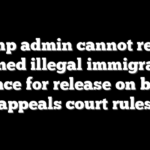 Trump admin cannot refuse detained illegal immigrants a chance for release on bond, appeals court rules