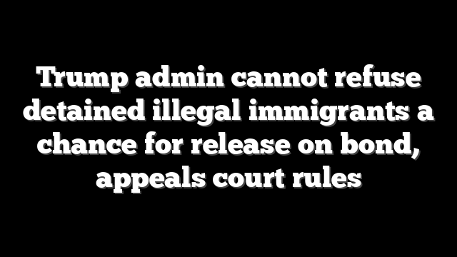 Trump admin cannot refuse detained illegal immigrants a chance for release on bond, appeals court rules