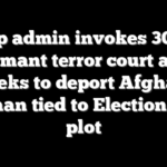 Trump admin invokes 30-year dormant terror court as it seeks to deport Afghan woman tied to Election Day plot