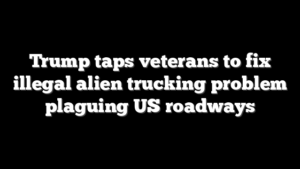 Trump taps veterans to fix illegal alien trucking problem plaguing US roadways