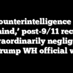 US counterintelligence ‘way behind,’ post-9/11 record ‘extraordinarily negligent’, fmr Trump WH official warns