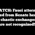 WATCH: Fauci attorney ejected from Senate hearing after chaotic exchange: ‘You are not recognized!’