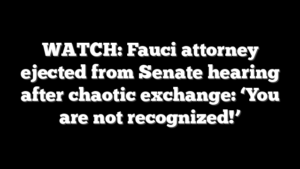 WATCH: Fauci attorney ejected from Senate hearing after chaotic exchange: ‘You are not recognized!’