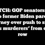 WATCH: GOP senators tear into former Biden pardon attorney over push to spare ‘mass murderers’ from death row