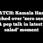 WATCH: Kamala Harris torched over ‘zero sense’ WNBA pep talk in latest ‘word salad’ moment