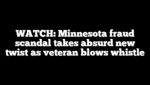 WATCH: Minnesota fraud scandal takes absurd new twist as veteran blows whistle