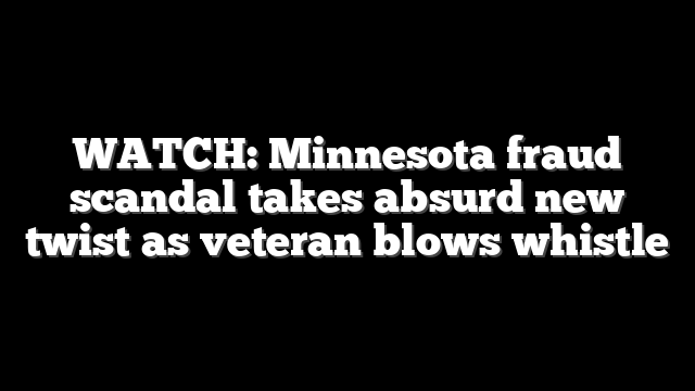 WATCH: Minnesota fraud scandal takes absurd new twist as veteran blows whistle