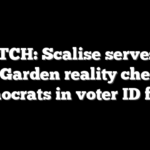 WATCH: Scalise serves up Olive Garden reality check for Democrats in voter ID fight