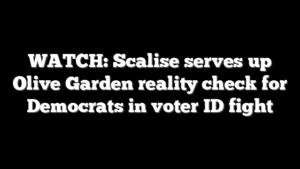 WATCH: Scalise serves up Olive Garden reality check for Democrats in voter ID fight