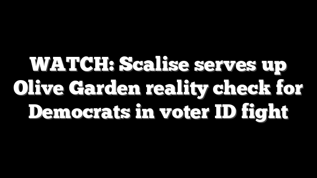 WATCH: Scalise serves up Olive Garden reality check for Democrats in voter ID fight