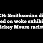 WATCH: Smithsonian director pressed on woke exhibits: ‘Is Mickey Mouse racist?’