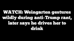 WATCH: Weingarten gestures wildly during anti-Trump rant, later says he drives her to drink