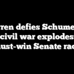Warren defies Schumer as Dem civil war explodes over must-win Senate race