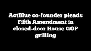ActBlue co-founder pleads Fifth Amendment in closed-door House GOP grilling