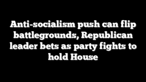 Anti-socialism push can flip battlegrounds, Republican leader bets as party fights to hold House