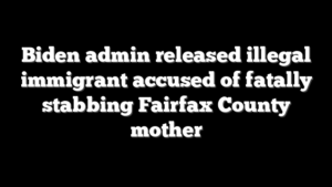 Biden admin released illegal immigrant accused of fatally stabbing Fairfax County mother
