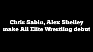 Chris Sabin, Alex Shelley make All Elite Wrestling debut