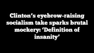 Clinton’s eyebrow-raising socialism take sparks brutal mockery: ‘Definition of insanity’