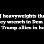 DOJ heavyweights throw monkey wrench in Dem plans to put Trump allies in hot seat