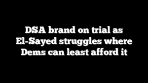 DSA brand on trial as El-Sayed struggles where Dems can least afford it