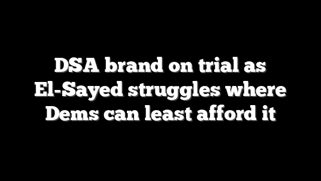 DSA brand on trial as El-Sayed struggles where Dems can least afford it