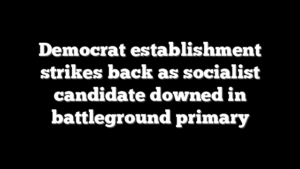 Democrat establishment strikes back as socialist candidate downed in battleground primary