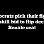 Democrats pick their fighter for uphill bid to flip deep-red Senate seat