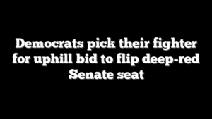 Democrats pick their fighter for uphill bid to flip deep-red Senate seat