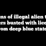 Dozens of illegal alien truck drivers busted with licenses from deep blue states
