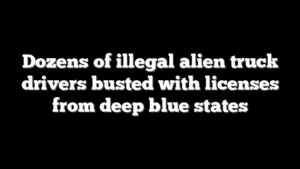 Dozens of illegal alien truck drivers busted with licenses from deep blue states
