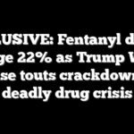 EXCLUSIVE: Fentanyl deaths plunge 22% as Trump White House touts crackdown on deadly drug crisis