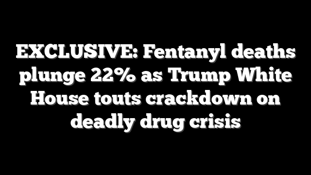 EXCLUSIVE: Fentanyl deaths plunge 22% as Trump White House touts crackdown on deadly drug crisis