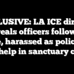 EXCLUSIVE: LA ICE director reveals officers followed home, harassed as police fail to help in sanctuary city
