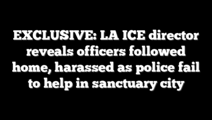 EXCLUSIVE: LA ICE director reveals officers followed home, harassed as police fail to help in sanctuary city